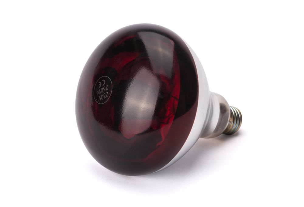 Lampadina termica a infrarossi HENDI - Ø 125 mm | HE919217