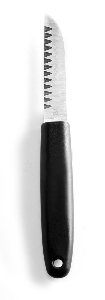 Coltello per decorazioni HENDI - lunghezza 195 × larghezza 14 × altezza 20 mm | HE856062