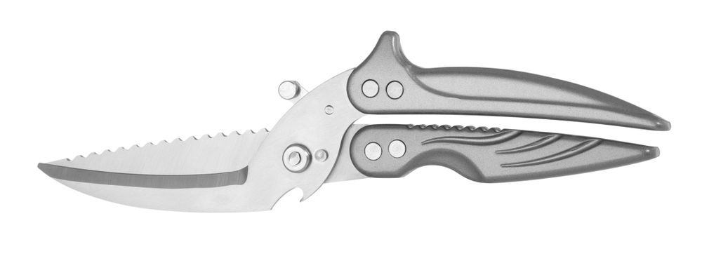 Forbici per pollame rimovibili HENDI - lunghezza 262 × larghezza 14 × altezza 70 mm | HE856420