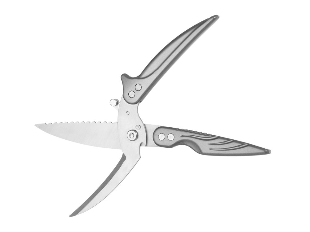 Forbici per pollame rimovibili HENDI - lunghezza 262 × larghezza 14 × altezza 70 mm | HE856420