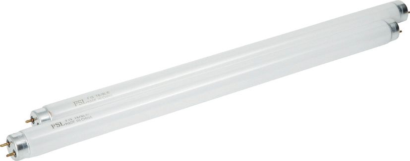 Lampade di ricambio per apparecchio insetticida HENDI - lunghezza 24 × larghezza 604 × altezza 24 mm | HE934166